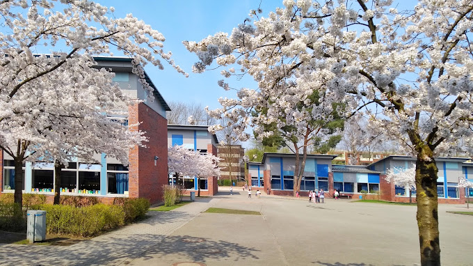 Schule_Koonhorst